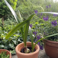 IMG_4593 (1) IMG_4593 (1)