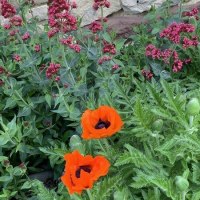 Weingarten Weingarten