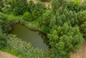 Biotop Rohrwiesen © Dominik Ketz Biotop Rohrwiesen © Dominik Ketz