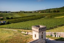 Bodenheimer Burgweg Bodenheimer Burgweg
