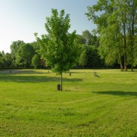 Liegewiese mit Volleyballfeld, Freibad Gimbsheim Liegewiese mit Volleyballfeld, Freibad Gimbsheim