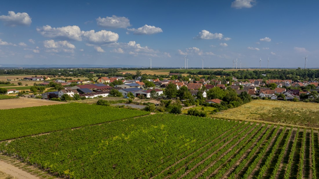 Heppenheimer Schneckenberg, © Torsten Silz Heppenheimer Schneckenberg, © Torsten Silz