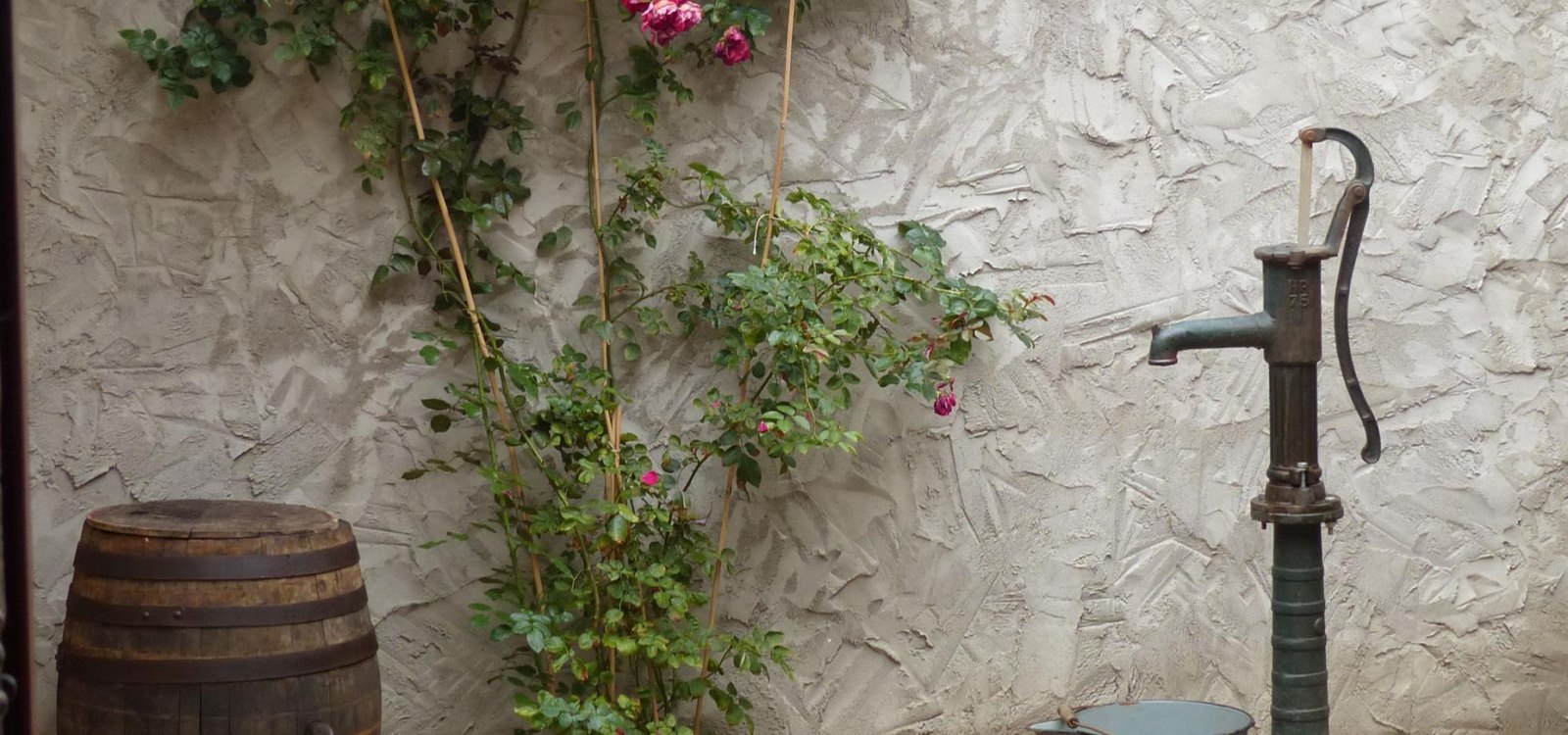 Rose und Pumpe im Hof, © Rüdiger Rahn Rose und Pumpe im Hof, © Rüdiger Rahn