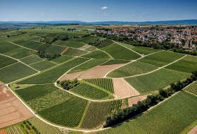 Essenheimer Teufelspfad Essenheimer Teufelspfad