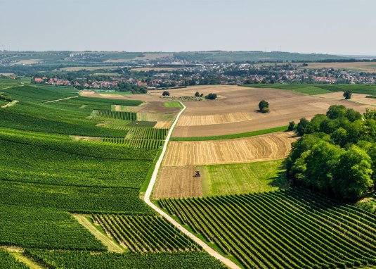 Selztalblick © Dominik Ketz - Rheinhessen Touristik GmbH Selztalblick © Dominik Ketz - Rheinhessen Touristik GmbH