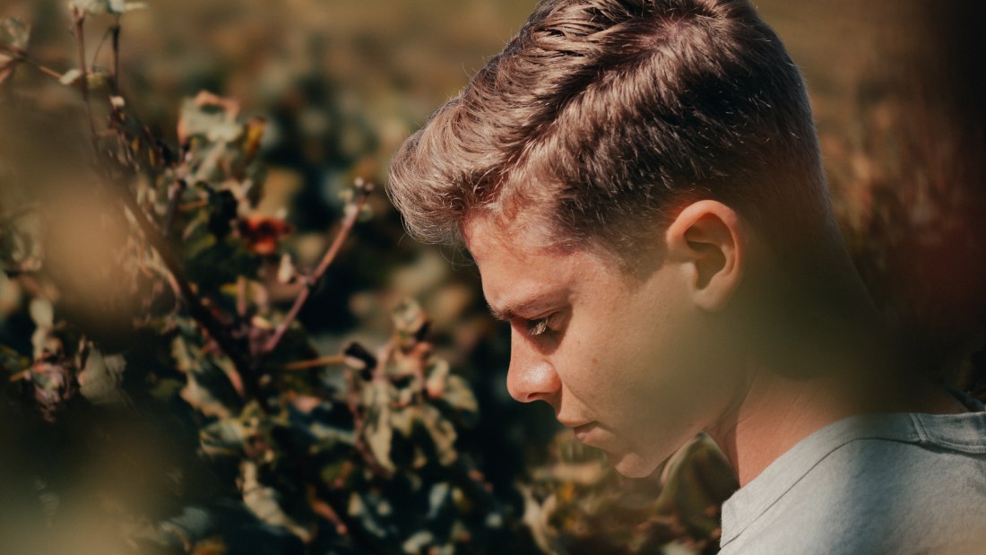 Jan 2, © Weingut Kaltenthaler Jan 2, © Weingut Kaltenthaler