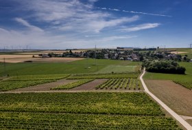 Monzernheimer Goldberg Monzernheimer Goldberg