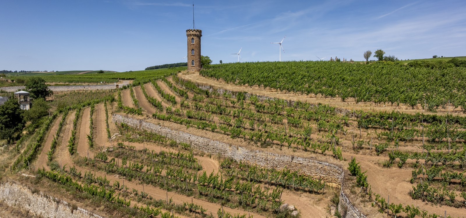 Weinheimer Heiliger Blutberg, © Torsten Silz Weinheimer Heiliger Blutberg, © Torsten Silz