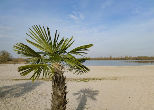 Strand Altrheinsee Eich Strand Altrheinsee Eich