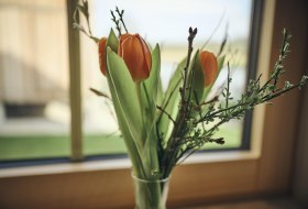 OBS_Nittenau_GIP1575_1600px OBS_Nittenau_GIP1575_1600px
