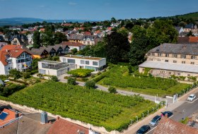 Ingelheimer Sonnenberg-DJI_0028.DNG © Torsten Silz Ingelheimer Sonnenberg-DJI_0028.DNG © Torsten Silz