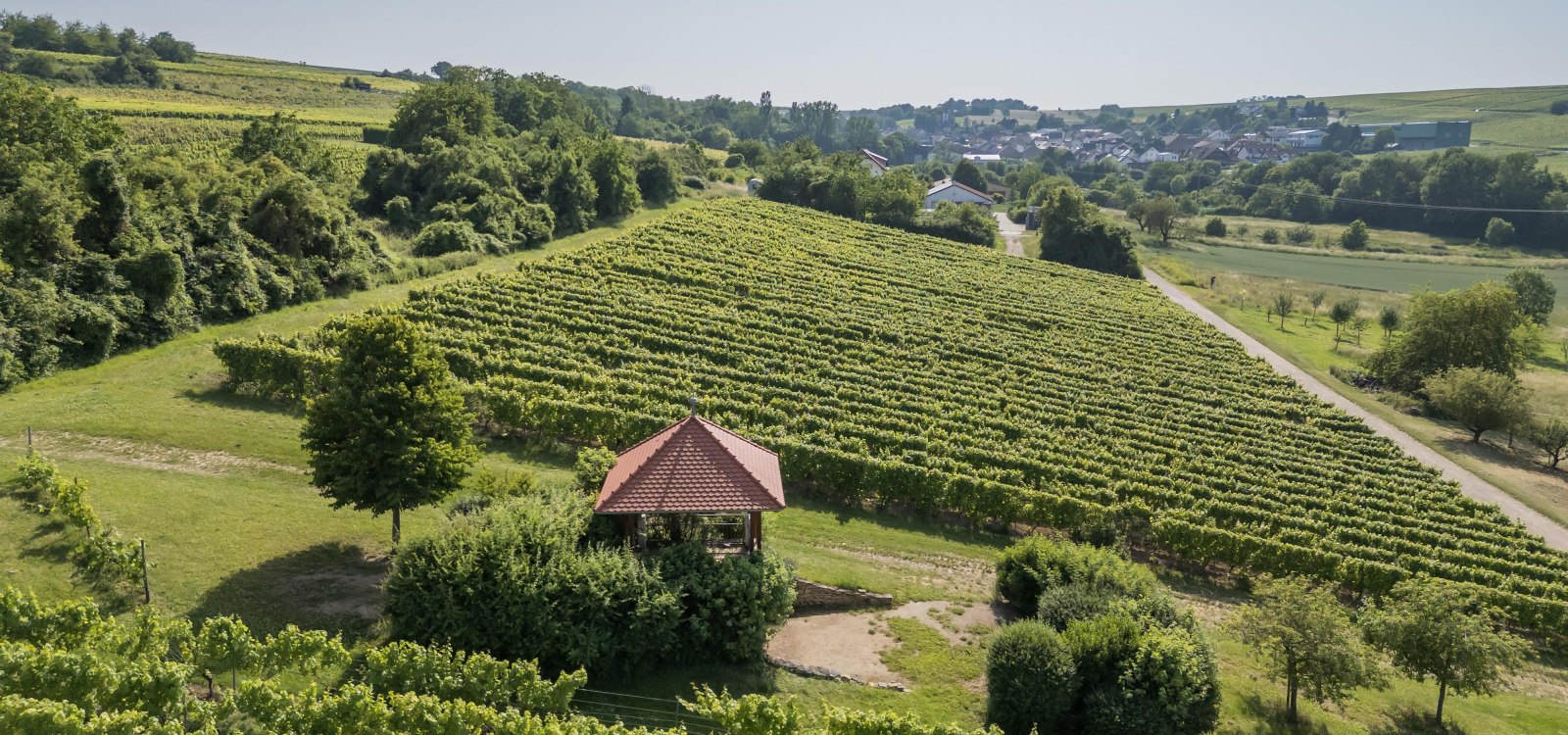 Aussichten mit Engelstadt, © Verbandsgemeinde Gau-Algesheim Aussichten mit Engelstadt, © Verbandsgemeinde Gau-Algesheim
