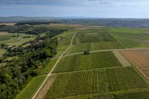 Nieder-Hilbersheimer Steinacker, © Torsten Silz Nieder-Hilbersheimer Steinacker, © Torsten Silz