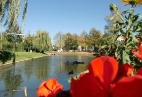 Woog © VG Monsheim Woog © VG Monsheim