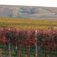 Herbst Umgebung Herbst Umgebung