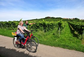 On the Zellertal bike path © Carsten Costard On the Zellertal bike path © Carsten Costard