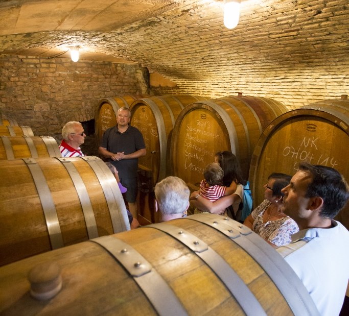 Weingut Helmut Best_Keller, © Weingut Helmut Best Weingut Helmut Best_Keller, © Weingut Helmut Best