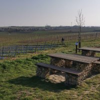 Sitzplatz Junghennblick Uelversheim © TSC Sitzplatz Junghennblick Uelversheim © TSC