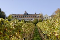 4Schloss_front, © Weingut Schloß Westerhaus 4Schloss_front, © Weingut Schloß Westerhaus