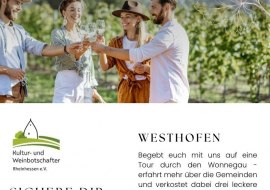 Wein Walk Wein Walk