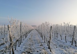 Winterwanderung auf der Hiwwltour Winterwanderung auf der Hiwwltour