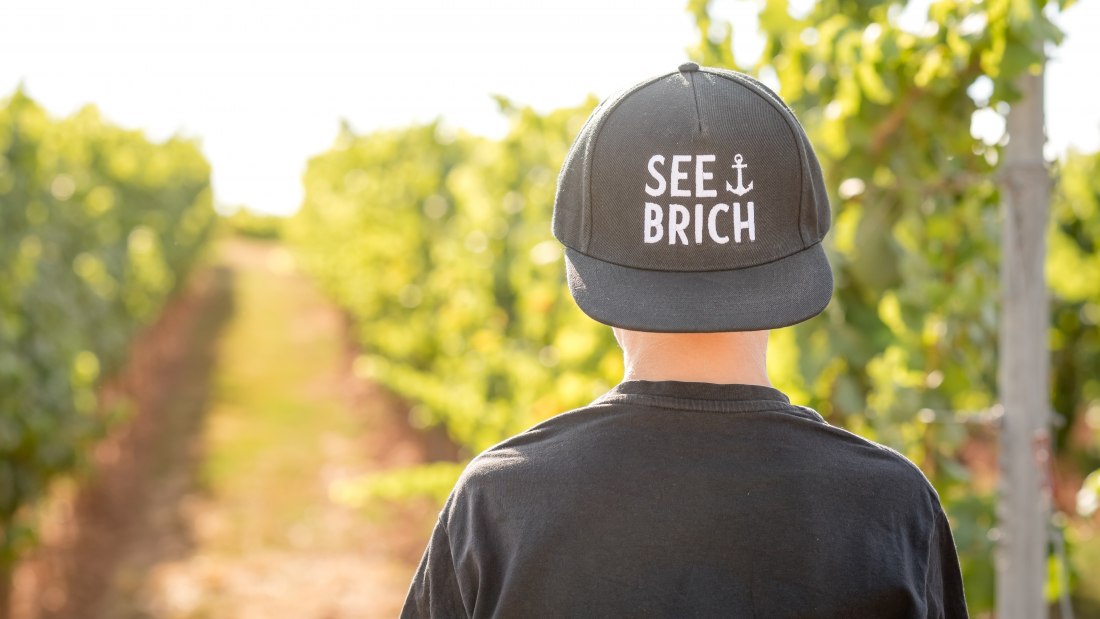 © Weingut Seebrich © Weingut Seebrich