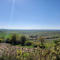 Schanzenberghütte Weinolsheim 4 © TSC Rhein-Selz Schanzenberghütte Weinolsheim 4 © TSC Rhein-Selz