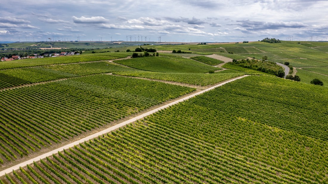 Lonsheimer Mandelberg Lonsheimer Mandelberg