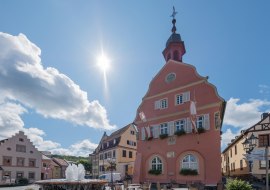 Marktplatz Gau-Algesheim Marktplatz Gau-Algesheim