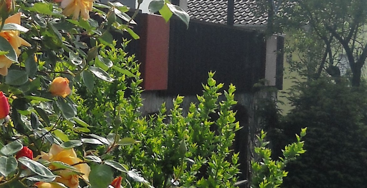 dscn2841-2, © Weingut Blees-Wallich dscn2841-2, © Weingut Blees-Wallich