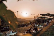 Weingut Singer-Fischer_Wiese, © Max Singer-Fischer Weingut Singer-Fischer_Wiese, © Max Singer-Fischer