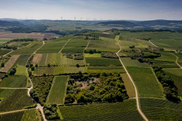 Siefersheimer Goldenes Horn Siefersheimer Goldenes Horn