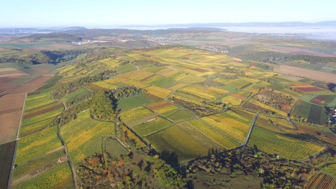 Weingut Achenbach_Weinberge, © Weingut Achenbach Weingut Achenbach_Weinberge, © Weingut Achenbach