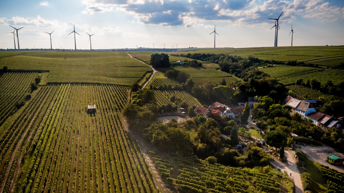 Alsheimer Fischerpfad Alsheimer Fischerpfad