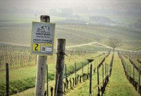 © Weingut Wagner © Weingut Wagner