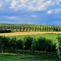 In zwei Minuten ist man zu Fuß in den malerischen In zwei Minuten ist man zu Fuß in den malerischen