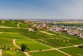 Panoramablick auf Oppenheim mit der Katharinenkirche © CC BY SA 4.0 Dominik Ketz Panoramablick auf Oppenheim mit der Katharinenkirche © CC BY SA 4.0 Dominik Ketz