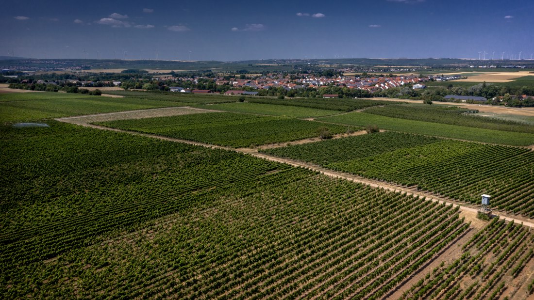 Offsteiner Engelsberg Offsteiner Engelsberg