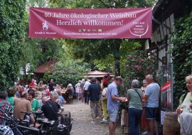 Weingut Werner Weingut Werner