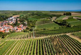 Dalheimer Kranzberg Dalheimer Kranzberg