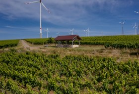 Gau-Heppenheimer Schlossberg Gau-Heppenheimer Schlossberg