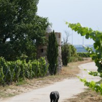 Juliusturm 2 © Michael Jung Juliusturm 2 © Michael Jung