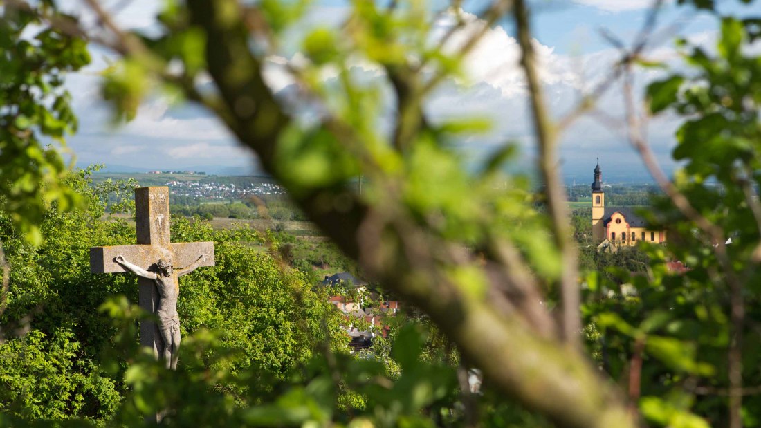 Weingut Schmitz_Ausblick, © Weingut Schmitz Weingut Schmitz_Ausblick, © Weingut Schmitz