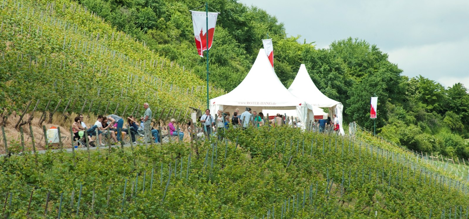 Roter Hang Weinpräsentation Roter Hang Weinpräsentation
