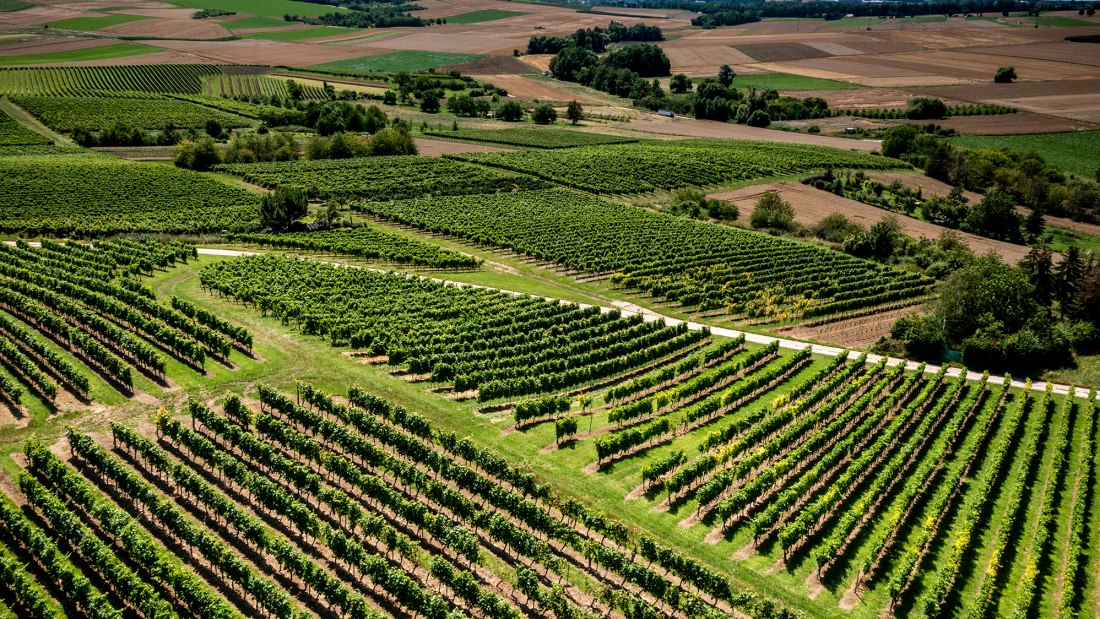 Klein-Winternheimer Geiershölle Klein-Winternheimer Geiershölle