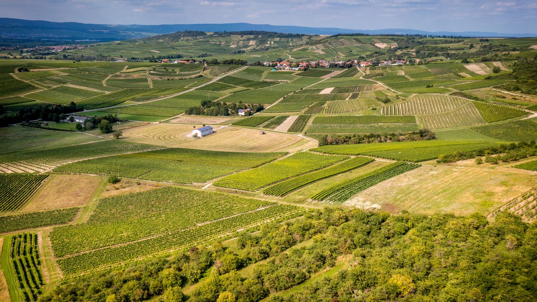 Horrweiler Gewürzgärtchen Horrweiler Gewürzgärtchen