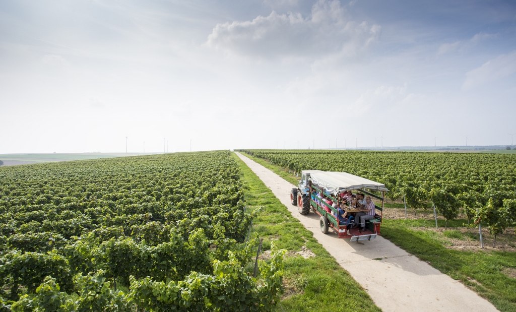 Weingut Helmut Best_Funzelfahrt, © Weingut Helmut Best Weingut Helmut Best_Funzelfahrt, © Weingut Helmut Best