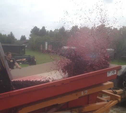 Freudenfest der roten Maische Freudenfest der roten Maische