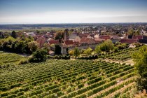 Dahlsheimer Bürgel DJI_0388 Dahlsheimer Bürgel DJI_0388