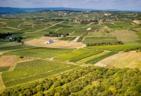 Horrweiler Gewürzgärtchen Horrweiler Gewürzgärtchen